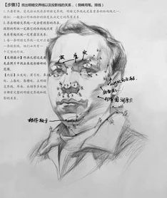 美术生必备素描头像每个步骤的分析图,不看后悔系列