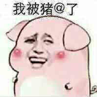 我被猪了表情包图片