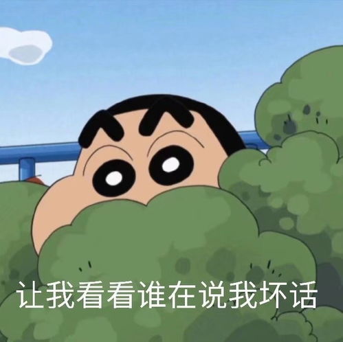 有没有超级适合发朋友圈的搞笑文案语录