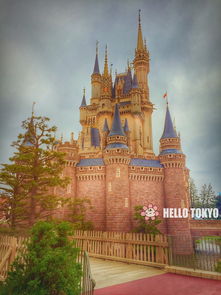 带着飞姐去旅行tokyo迪斯尼land上野动物园sanriopuroland....