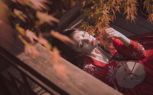生活满地鸡毛摩羯不愿意搞得路人皆知,狮子放不下面子