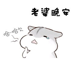 微信头像用自己老婆照片说明什么头像