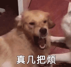 微信沙雕搞笑表情包别搞我呀