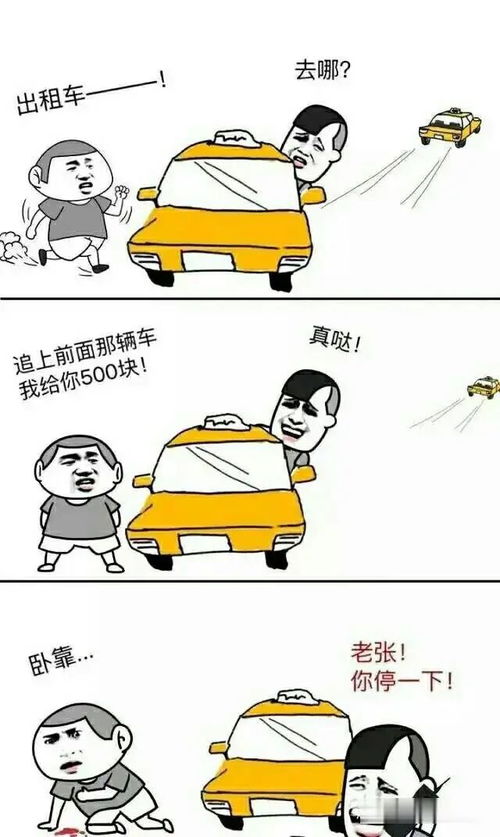 趣图爆笑gif你想猫咪常常,猫咪也想让你常常,我再也不敢了