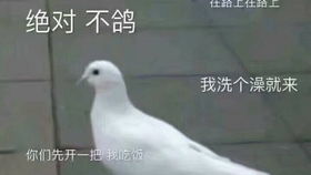 破门而入盾兵单人cqb无伤最简最高难度杀人屋某种意义上算单人