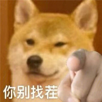 2021最新版狗狗指人表情大全狗狗爆笑的聊天表情合集