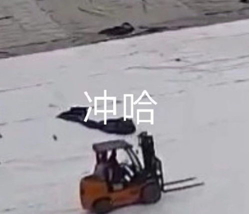 沙雕表情包收男人