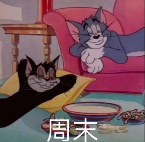 50张沙雕表情包,好拽好喜欢