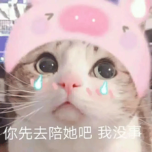 今日份沙雕表情包多喝热水少发骚