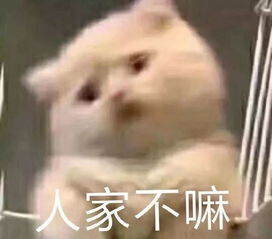 哄男女朋友专用表情包