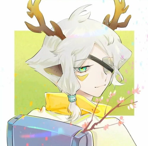 动漫男生头像巷子里的猫很自由,却没有归宿