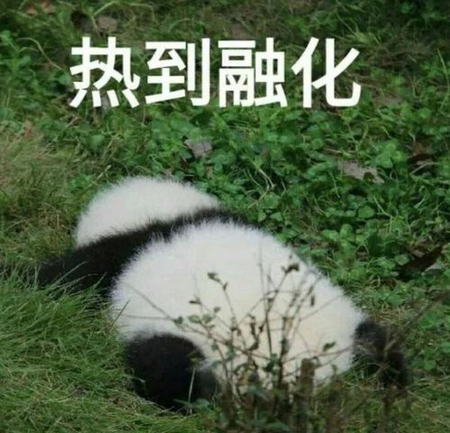 超刺激漳州天气马上大反转还有新台风