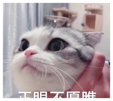 搞笑gif开心一刻女司机真的惹不起