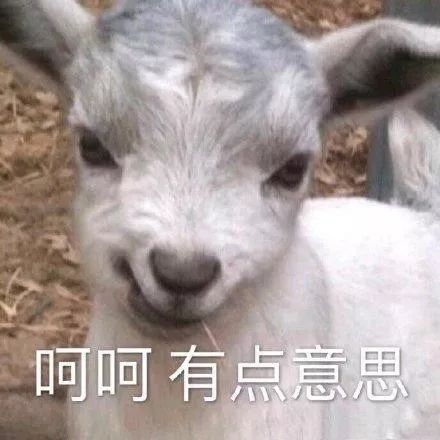 累的表情包图片搞笑无所谓