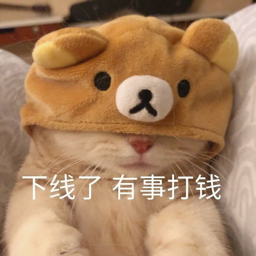 搞笑gif如果你不认识这一招,说明你不是江湖中人
