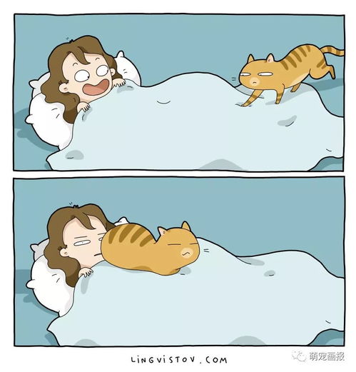 俄罗斯插画师的可爱四格漫画,讲述了和猫咪在一起的生活