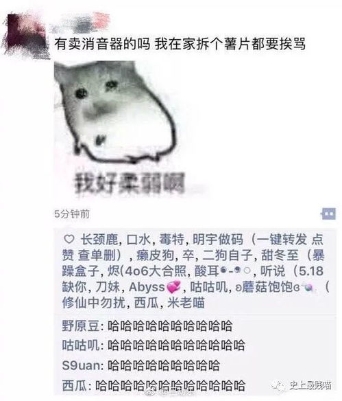 凌晨1点,微信好友发了这条朋友圈,我彻底笑疯了
