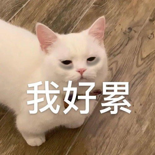沙雕可爱表情包