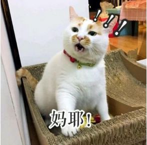 搞笑网友整活能力一流看这些奇葩的诗句组合就知道了