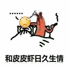 皮皮虾的故事