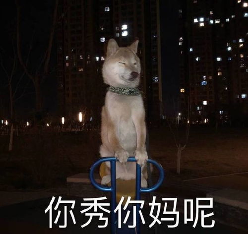 收藏的那些高级短句文案