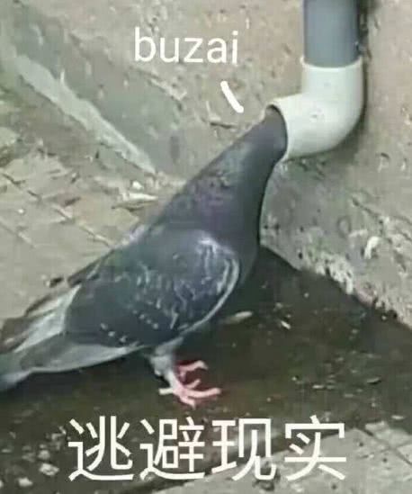 成年人的友谊太塑料放鸽子争霸赛,你的朋友里谁能赢