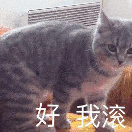 幽默搞笑老婆真的不能太宠,不然会难以沟通