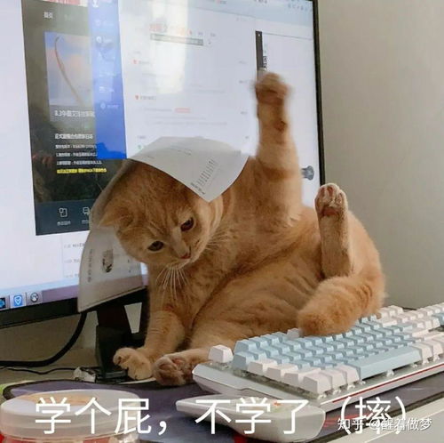 人到30岁以后还想学点技能,该学些什么
