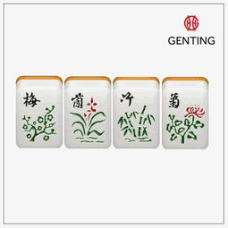 别说你不会打麻将,外国人打得可666了