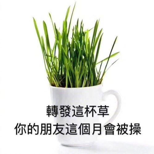 90后专用微信聊天斗图表情包大全不能错过的斗图表情