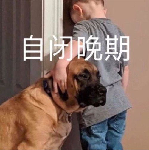 表情包谈什么恋爱,还是读书吧