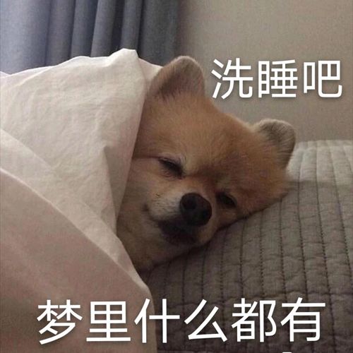 大批网友涌入逆水寒抄底,第一批入场的已血赚300