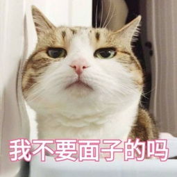 早安心语180929不是我喜欢的样子你都有,而是你所有样子我都喜欢