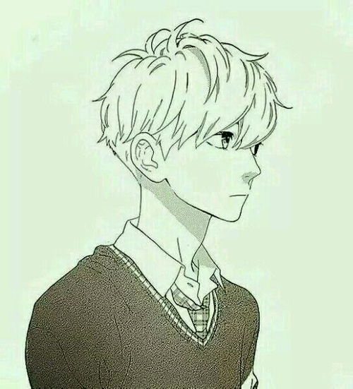 一般动漫男生头像有哪几种的,求这一种的