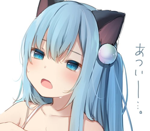 哔哩哔哩专栏