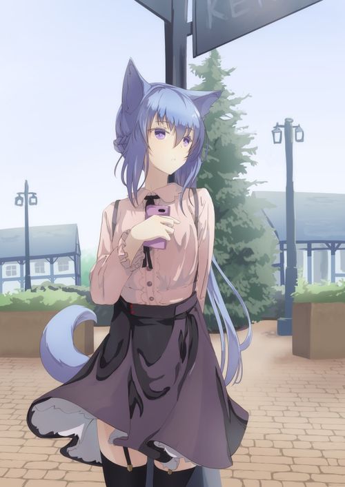 搜狐网