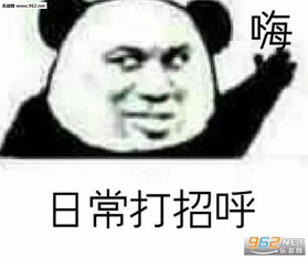 起床失败正在重启图片嗨日常打招呼表情包下载乐游网游戏下载