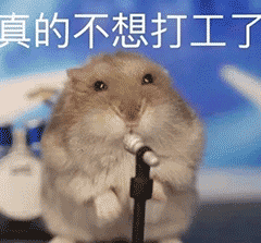 表情包真的不想打工了