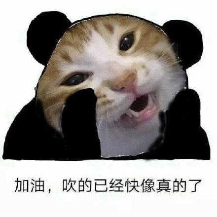 搞笑斗图表情包加油,吹的已经快像真的了