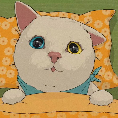 超级可爱的猫咪头像,卡通猫情侣头哦腾讯新闻