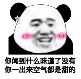 一次交通事故带来的爱恋张若昀终于娶到了他备忘录里的女孩