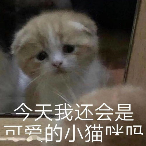 日常沙雕搞笑表情