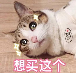 榜单2019年上半年最热新包top50,你有多时髦就看它了