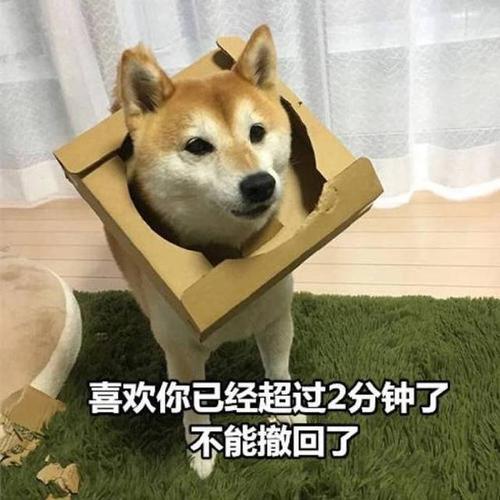 见证一下,影视剧中的七大舔狗,道路干万条,舔完泪两行穿山甲