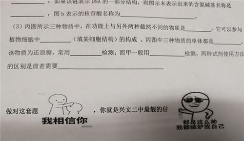 表情高中现表情包试卷怎么回事表情包试卷分享社会新闻海峡网表情