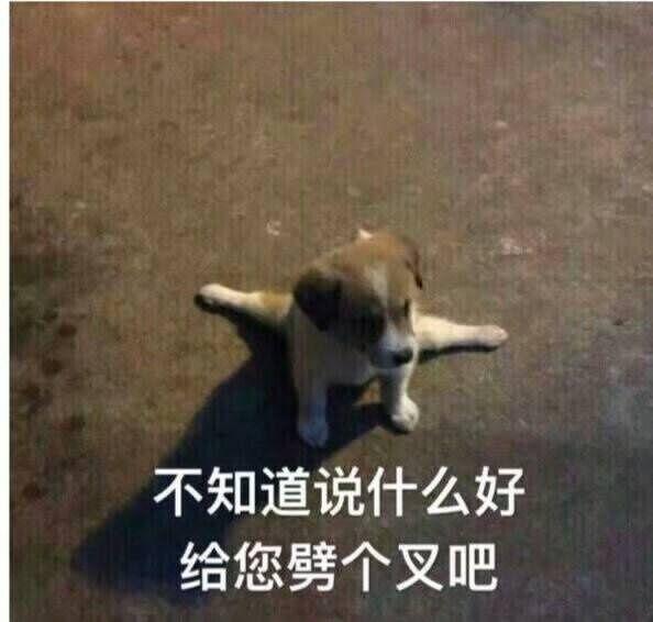 搞笑表情包合集潜台词