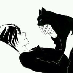 猫出没一诃子