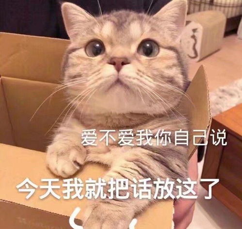话题表情包,哄生气的闺蜜,搞笑委屈斗图表情不能少