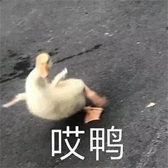 聊聊你从别人口中听过哪些超级好笑的八卦