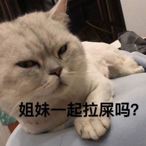 沙雕表情包生活已经容不下我了